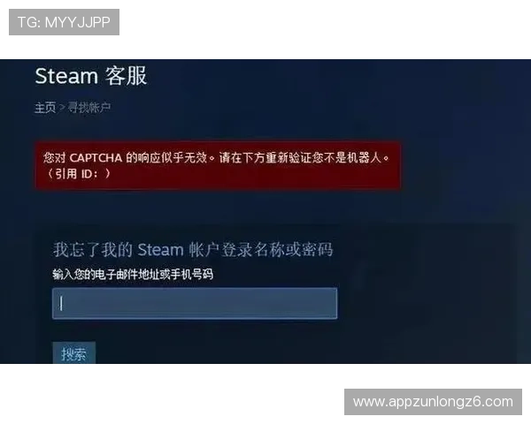 尊龙集团官网登录过程中遇到验证码问题的解决方案