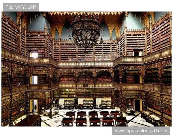 深度解析d88尊龙官方网的用户评价与口碑